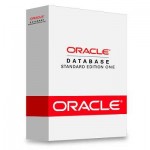 oracle disk manager
